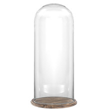 Glass Dome with Wooden Brown Base 20" - 2 Pieces