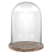 Glass Dome with Wooden Brown Base 16" - 2 Pieces