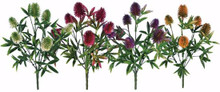 Case of 24 - 4" Asst 11" Thistle Bush