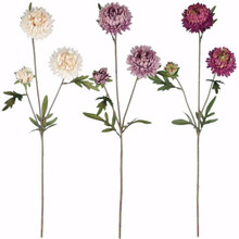 Case of 24 - 3 Asst 27" Ball Mum Stem