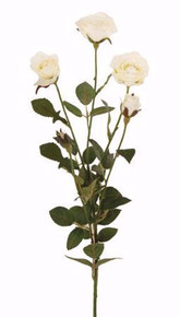 Case of 12 - 24" White English Garden Rose Spray