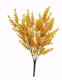 Case of 12 - 18" Yellow Berry Bush x8