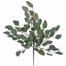 Case of 12 - 17" Plastic Seeding Eucalyptus Bush