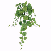 Case of 12 - 20" Cottonwood Hanging Bush x 7