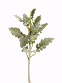 Case of 24 - 17" Flocked Dusty Miller Spray