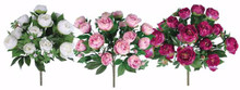 Case of 6 - 3 Asst. 22" Peony Bush