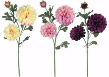 Case of 12 - 3 Asst. 26" Dahlia Stem