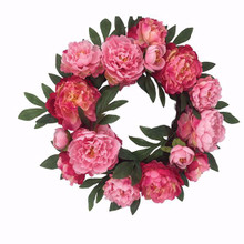 Case of 6 - 20" Ranunculus Wreath