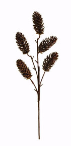 Case of 24 - 18" Pine Cone Spray