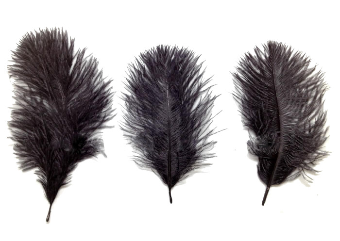 small ostrich feathers