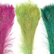 bleached peacock tails