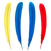 10 Dyed Peacock Tail Support Feathers