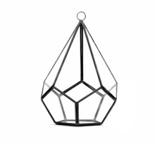 Black Tear Drop Geometric Glass Terrarium, Undecahedron - 6 Pieces