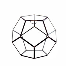 Medium Black Prism Geometric Glass Terrarium, Dodecahedron - 4 Pieces