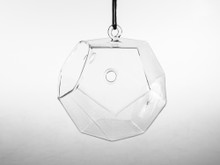 Dodecahedron Frameless Geometric Glass Terrarium - 12 Pieces