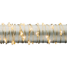 5ft Warm White Micro LED Battery Light String with Timer, Gold Wire - 12 Sets