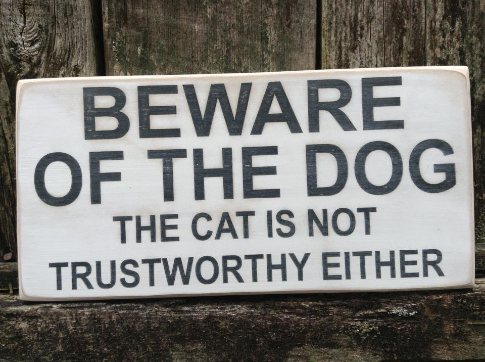 Beware Of The Dog Cat Is Not Trustworthy Either Beware Of The Dog Cat Is Not Trustworthy Either
