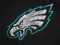 Sparkly Eagles Super Bowl Swarovski crystal rhinestone t shirt.