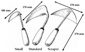 homi3scaleline.jpg