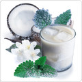 Coconut Ice - Premium Artisan E-Liquid | ECBlend Flavors