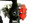 Complete rear Caliper solutions