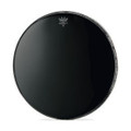 12" Ebony Ambassador