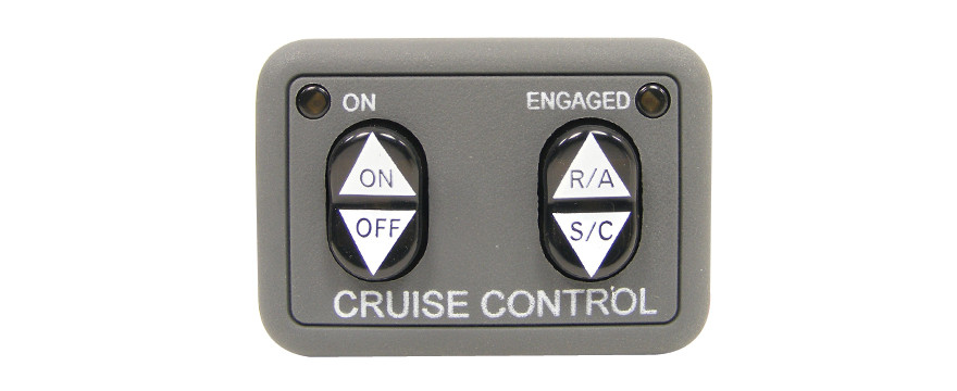 Rostra 250-3592 Dash Mount Cruise Control Switch
