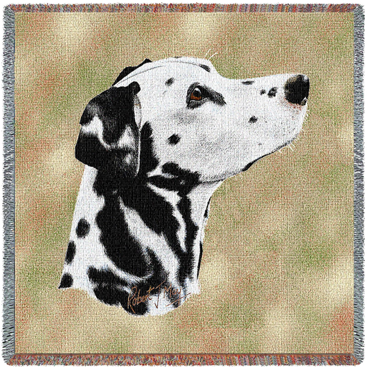 Dalmatian May - Lap Square Cotton Woven Blanket Throw - Made in the USA (54x54)