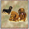 Dachshund Puppies - Robert May - Lap Square Cotton Woven Blanket Throw - Made in the USA (54x54) Lap Square