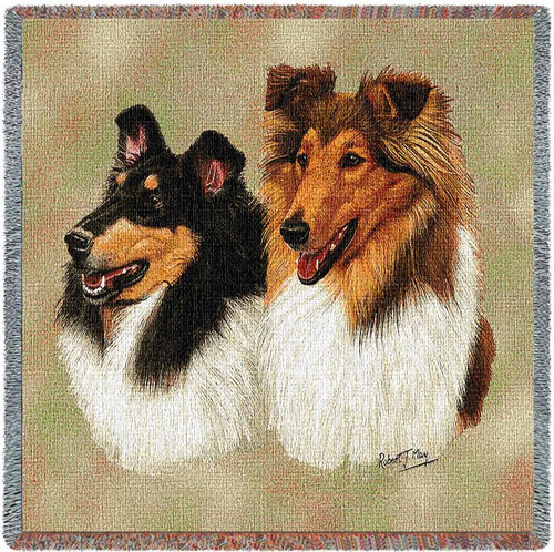 Collie - Robert May - Lap Square Cotton Woven Blanket Throw - Made in the USA (54x54) Lap Square