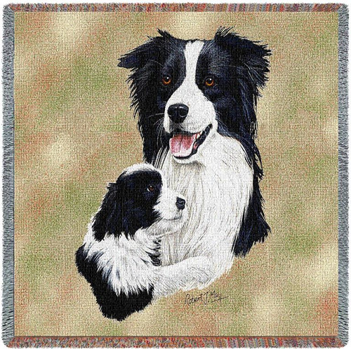 Border Collie with Puppy - Robert May - Lap Square Cotton Woven Blanket Throw - Made in the USA (54x54) Lap Square