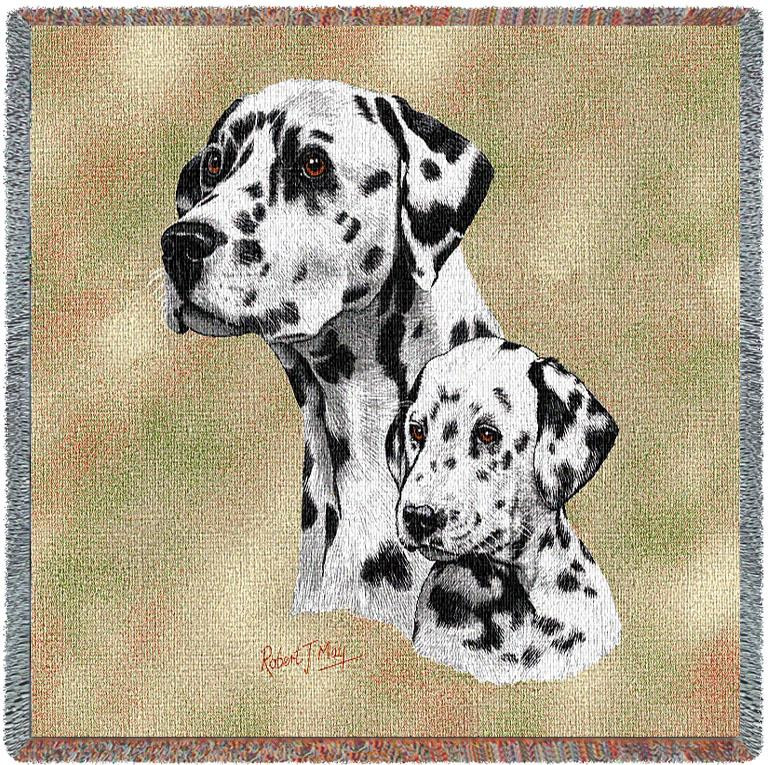 Dalmatian with Puppy - Robert May - Lap Square Cotton Throw - Made the USA (54x54)