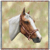 Pinto Horse - Robert May - Lap Square Cotton Woven Blanket Throw - Made in the USA (54x54) Lap Square
