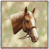 Palomino Horse - Robert May - Lap Square Cotton Woven Blanket Throw - Made in the USA (54x54) Lap Square