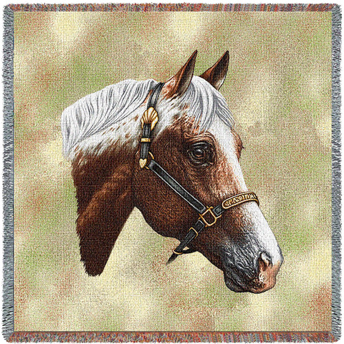 Appaloosa Horse - Robert May - Lap Square Cotton Woven Blanket Throw - Made in the USA (54x54) Lap Square
