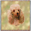 Poodle Cream - Robert May - Lap Square Cotton Woven Blanket Throw - Made in the USA (54x54) Lap Square