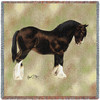 Shire Horse - Robert May - Lap Square Cotton Woven Blanket Throw - Made in the USA (54x54) Lap Square