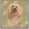 Havanese - Robert May - Lap Square Cotton Woven Blanket Throw - Made in the USA (54x54) Lap Square
