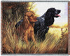 Cocker Spaniel - Robert May - Cotton Woven Blanket Throw - Made in the USA (72x54) Tapestry Throw