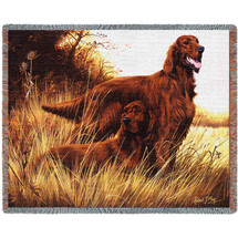 Irish Setter - Robert May - Cotton Woven Blanket Throw - Made in the USA (72x54) Tapestry Throw