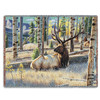 Morning View Elk - Cynthie Fisher - Cotton Woven Blanket Throw - Made in the USA (72x54) Tapestry Throw