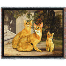 Abyssinian Family Cat - Robert May - Cotton Woven Blanket Throw - Made in the USA (72x54) Tapestry Throw