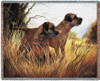 Border Terrier - Robert May - Cotton Woven Blanket Throw - Made in the USA (72x54) Tapestry Throw