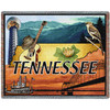 State of Tennessee - Cotton Woven Blanket Throw - Made in the USA (72x54) Tapestry Throw