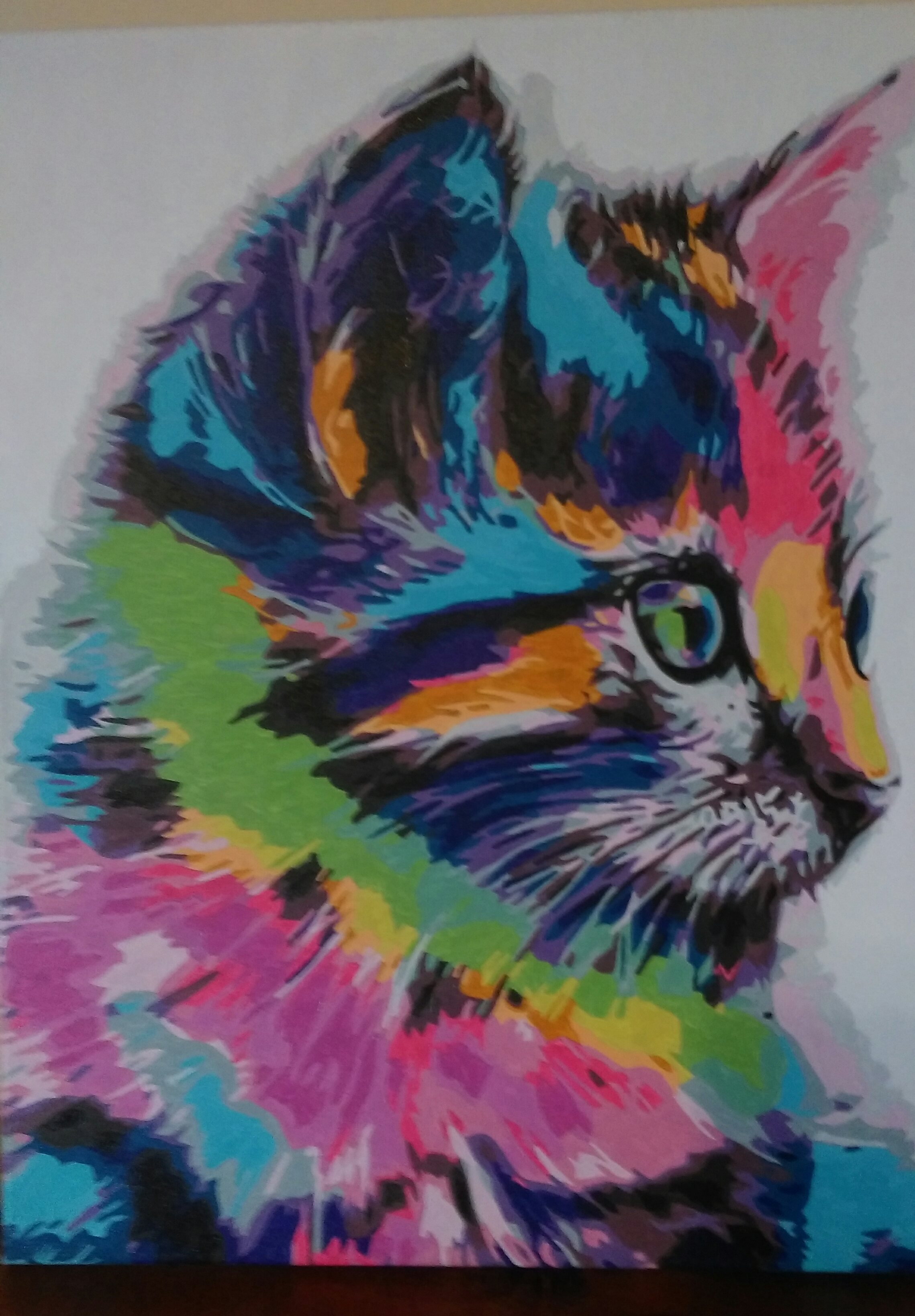 Colourful Kitten by Joan M