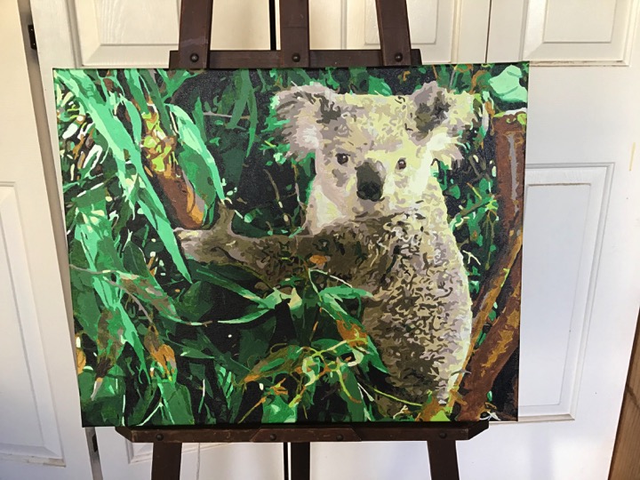 Paint by Numbers - Koala by Sandra Joyce