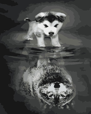 Stronger Reflection 2