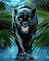 Black Panther