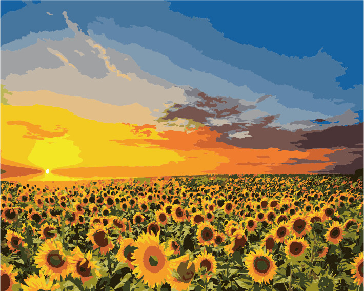 Painting By Numbers Kit 40x50cm Golden Sunflower Field