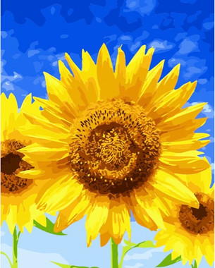 Blue Sky and Sunflowers